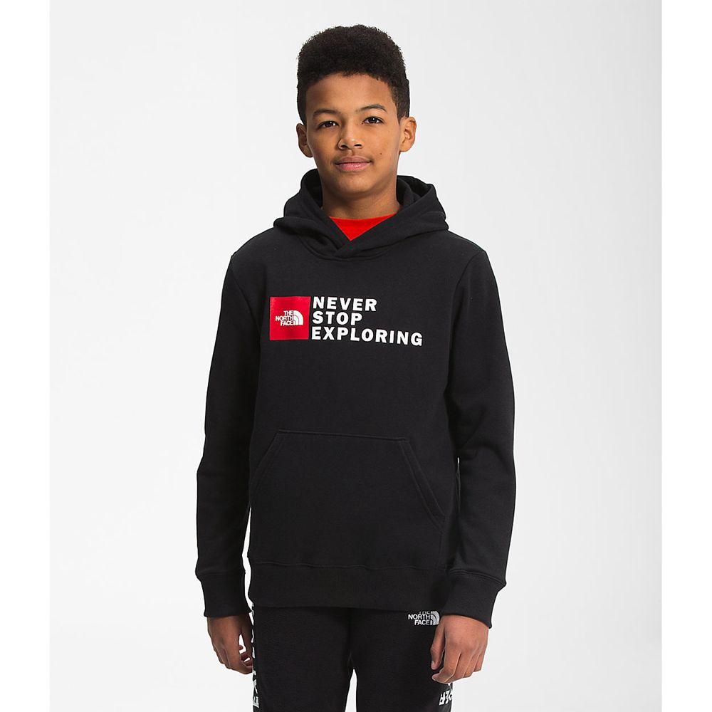 The North Face Hoodie Boys Australia - The North Face Camp Fleece Pullover Black / Red (ZMW-752031)